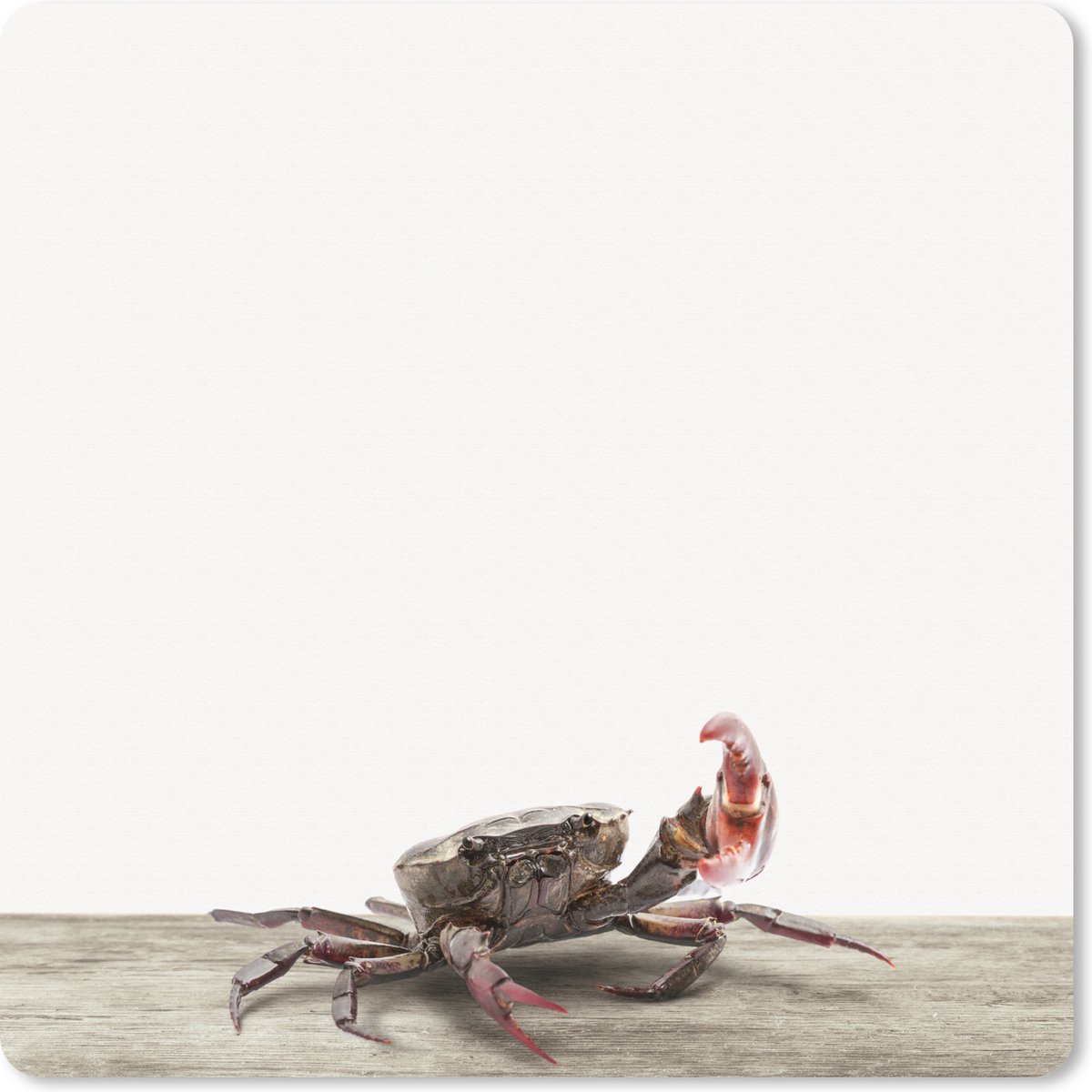 Muismat XXL 60x60 cm - Bureau onderlegger - Bureau mat Kinderen - Krab - Zeedieren - Jongens - Meisjes - Kids - Bureaumat - Gaming mousepad xl - Bureaulegger groot - Computer deskmat