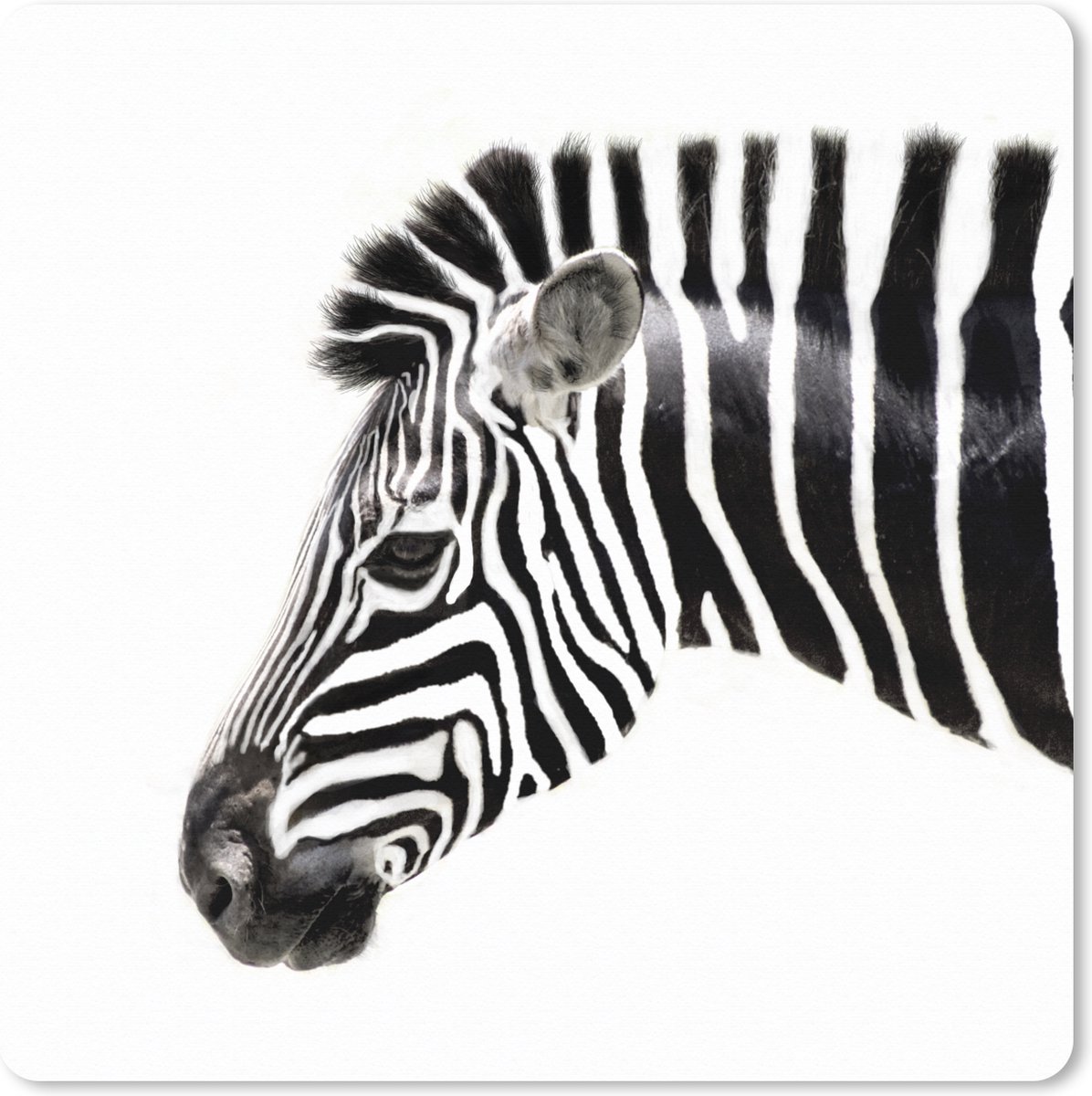 Muismat XXL 50x50 cm - Bureau onderlegger - Bureau mat Zebra - Dieren - Wit - Bureaumat - Gaming mousepad xl - Bureaulegger groot - Computer deskmat
