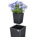 Zwarte polyrotan bloempot met gevlochten textuur, met een zwarte kunststof binnenpot met blauw bloeiende plant.
