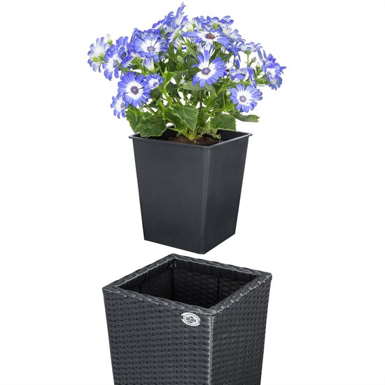 Zwarte polyrotan bloempot met gevlochten textuur, met een zwarte kunststof binnenpot met blauw bloeiende plant.
