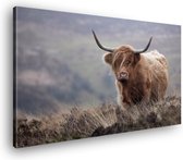 Canvas Schilderij Schotse Hooglander In De Natuur | 30 x 20 cm | Wanddecoratie