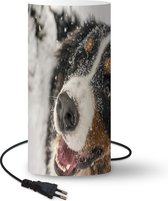 Lampe Berner Chien de montagne - Un bouvier Berner sous la neige - 33 cm -  Ø16 cm - Y... | bol.com