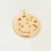 Sterrenbeeld 14k Vergulde hanger - Constellation 14k Gold Plated Pendant - Aquarius/Waterman