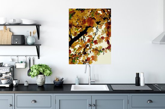 Poster Arbres - Feuilles d'Automne - Nature - 60x80 cm