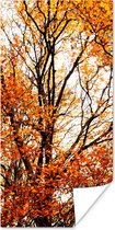 Affiche Forêt - Automne - Saisons - 80x160 cm