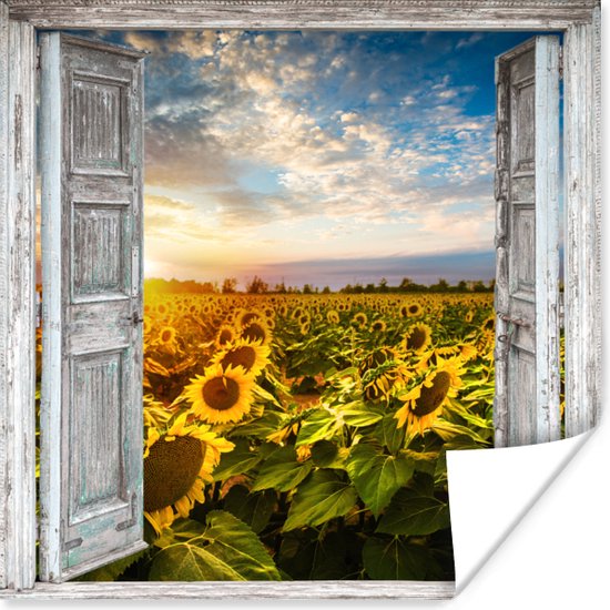 Poster Doorkijk - Zonnebloem - Bloemen - Zon - 75x75 cm