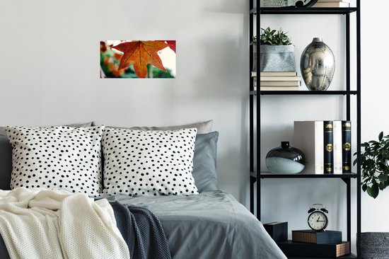 Affiche Automne - Rural - Feuilles - Saisons - Rural - 40x20 cm