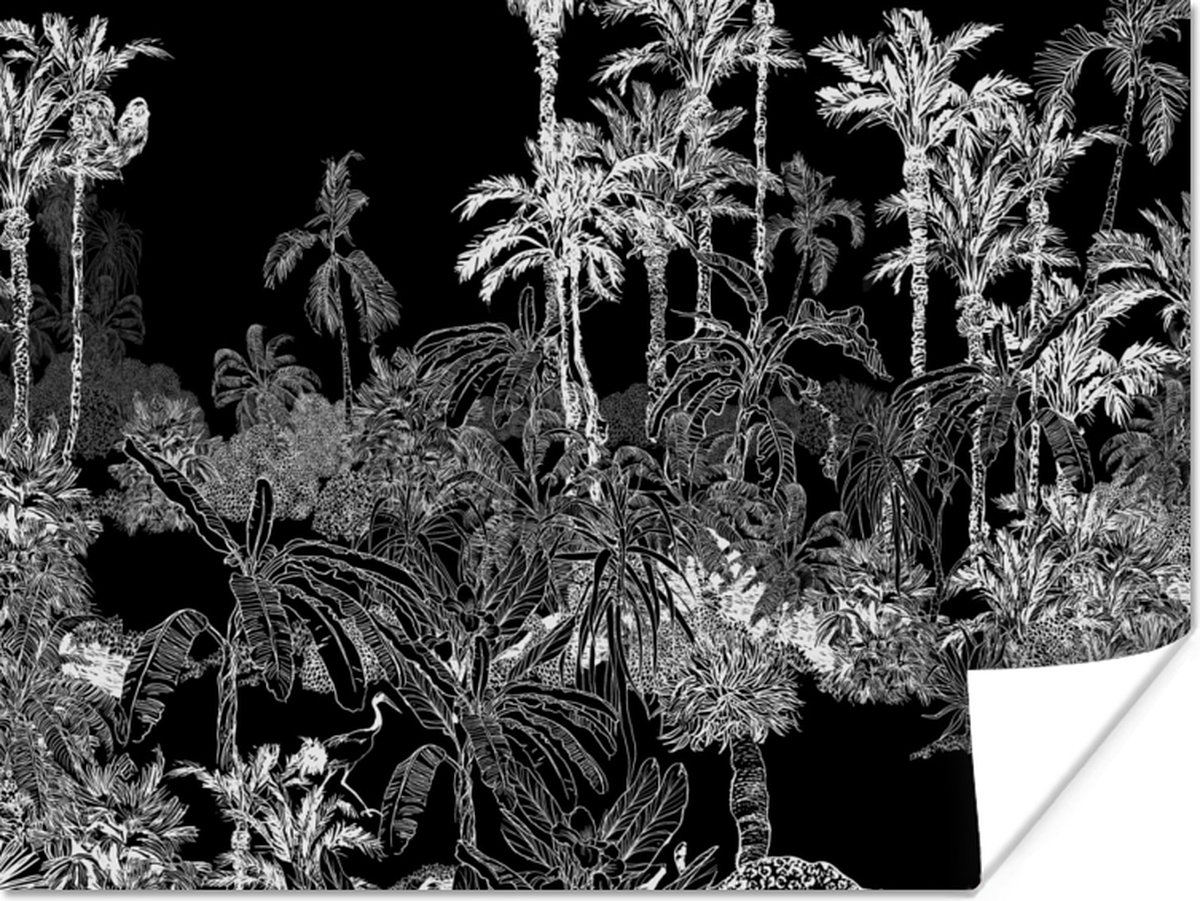 Poster Palm - Jungle - Tropical - 80x60 cm