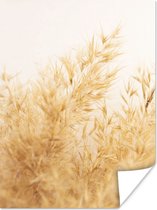 Poster Pampasgras - Zon - Gras - 30x40 cm