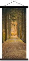 Porte-affiche avec affiche - Affiche scolaire - Chemin - Arbres - Forêt - 40x80 cm - Lattes noires