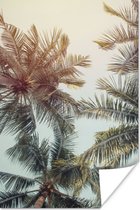 Poster Palmboom - Zomer - Tropisch - 120x180 cm XXL