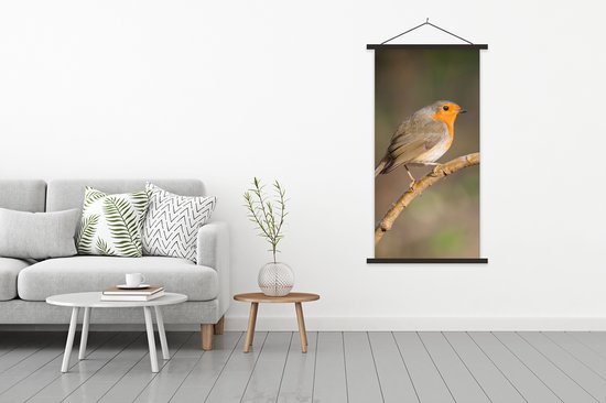 Porte-affiche avec affiche - Affiche scolaire - Robin - Vogel - Nature - 90x180 cm - Lattes noires