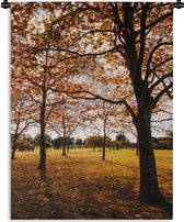 Tapisserie - Toile Murale - Automne - Feuilles d'Automne - Nature - 90x120 cm - Tapisserie