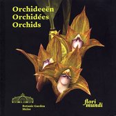 Orchideeën orchidées orchids