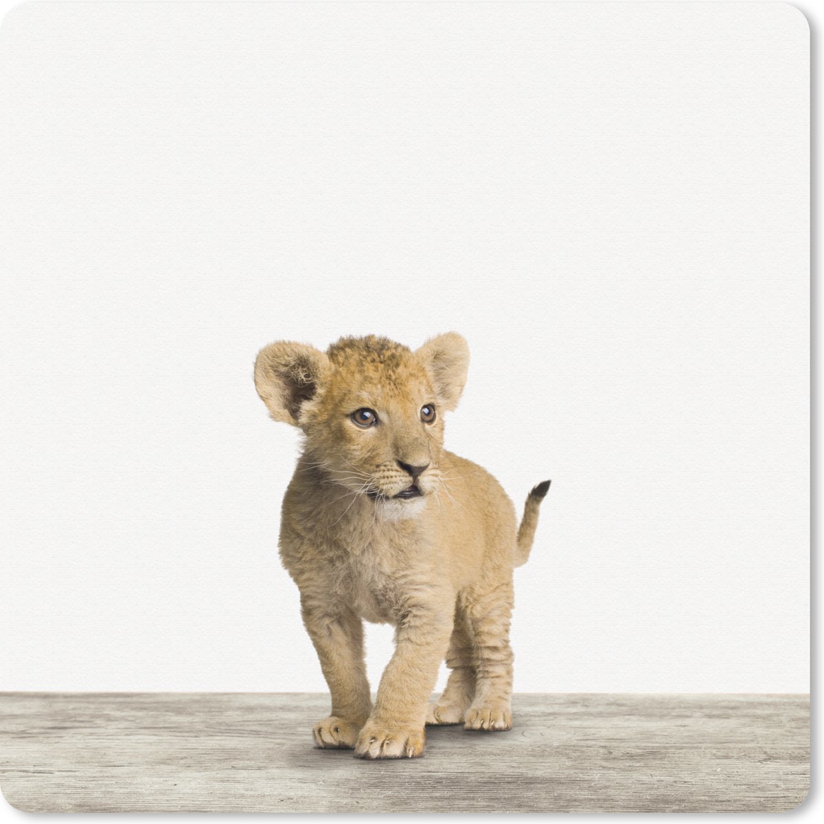 Muismat 30x30 cm - Mousepad Leeuw - Welp - Kinderen - Jongens - Dieren - Meisjes - Muismatten