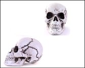 Tête de squelette d'Halloween sur pendentif 18 x 27 cm - Soirée à thème Halloween horreur effrayant effrayant festival