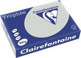 Clairefontaine Trophée Pastel A4 gris clair 160 g 250 feuilles