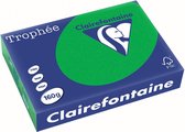 Clairefontaine Trophée Intens, gekleurd papier, A4, 160 g, 250 vel, bijartgroen 4 stuks