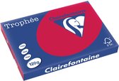 Clairefontaine Trophée Intens, gekleurd papier, A3, 120 g, 250 vel, kersenrood 5 stuks