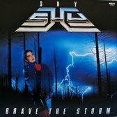 Brave the Storm (LP)