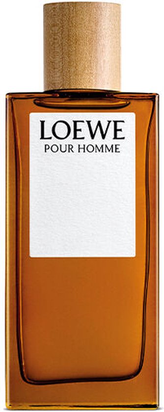 LOEWE Perfumes Pour Homme EDT Hommes 100 ml | bol.com
