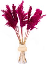 Roze Pampas Pluimen – 10 stuks - 90cm - Pampasgras - Droogbloemen