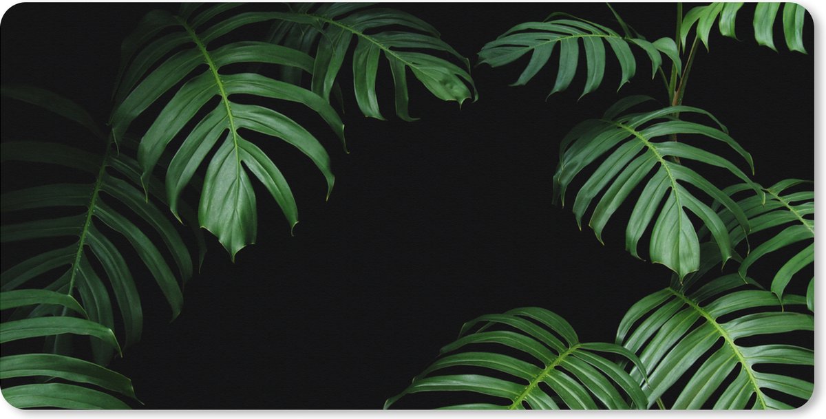 Muismat XXL 100x50 cm - Bureau onderlegger - Bureau mat Jungle - Planten - Monstera - Jongens - Meisjes - Kinderen - Bureaumat - Gaming mousepad xl - Bureaulegger groot - Computer deskmat