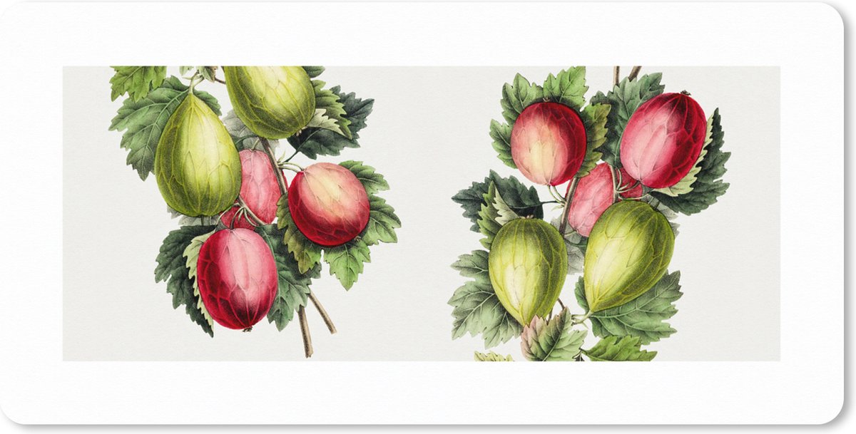 Muismat XXL 120x60 cm - Bureau onderlegger - Bureau mat Vijgen - Bloemen - Fruit - Bureaumat - Gaming mousepad xl - Bureaulegger groot - Computer deskmat