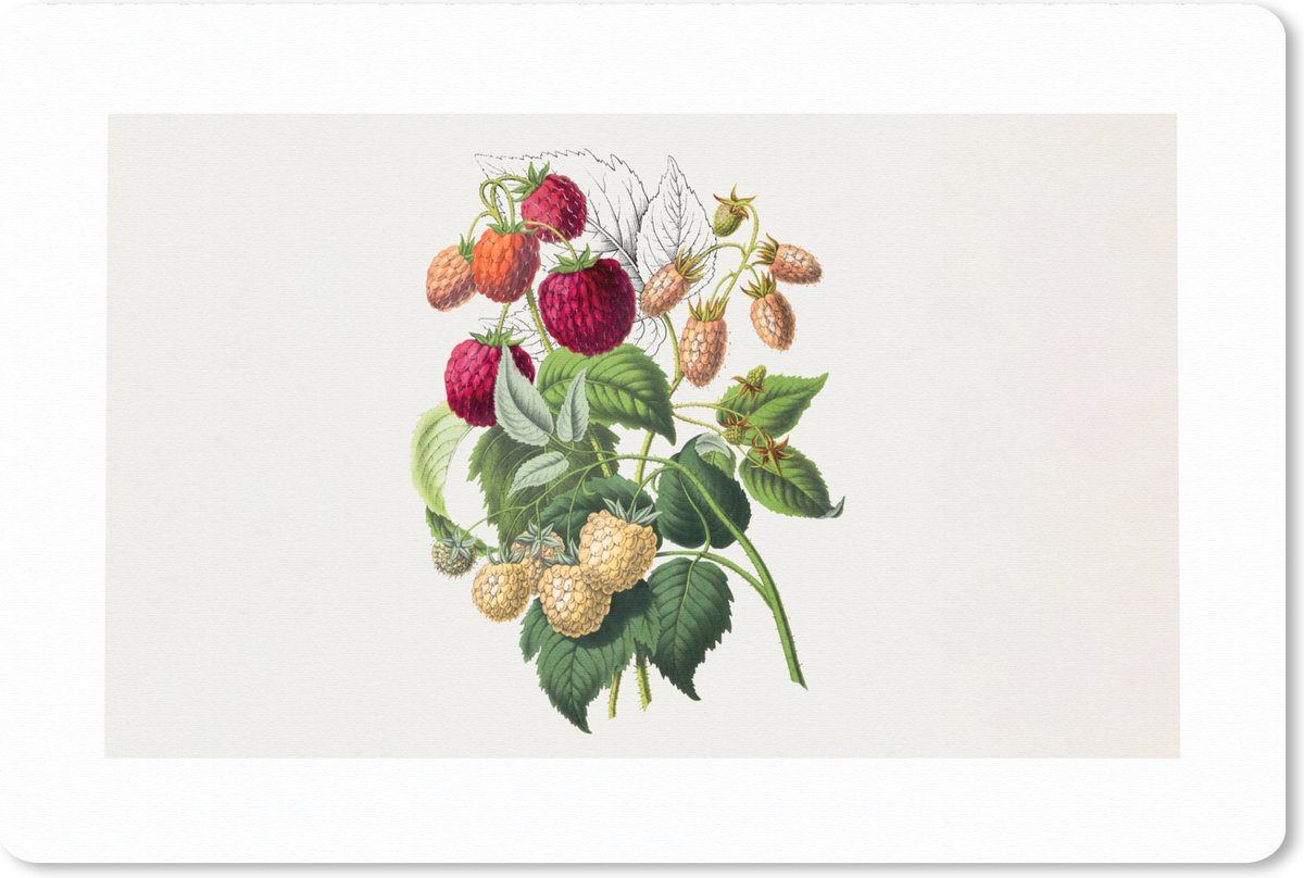 Muismat XXL 120x80 cm - Bureau onderlegger - Bureau mat Aardbei - Fruit - Vintage - Bureaumat - Gaming mousepad xl - Bureaulegger groot - Computer deskmat