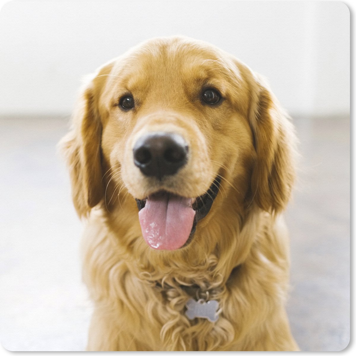 Muismat XXL 40x40 cm - Bureau onderlegger - Bureau mat Portret van een super mooie Golden Retriever - Bureaumat - Gaming mousepad xl - Bureaulegger groot - Computer deskmat