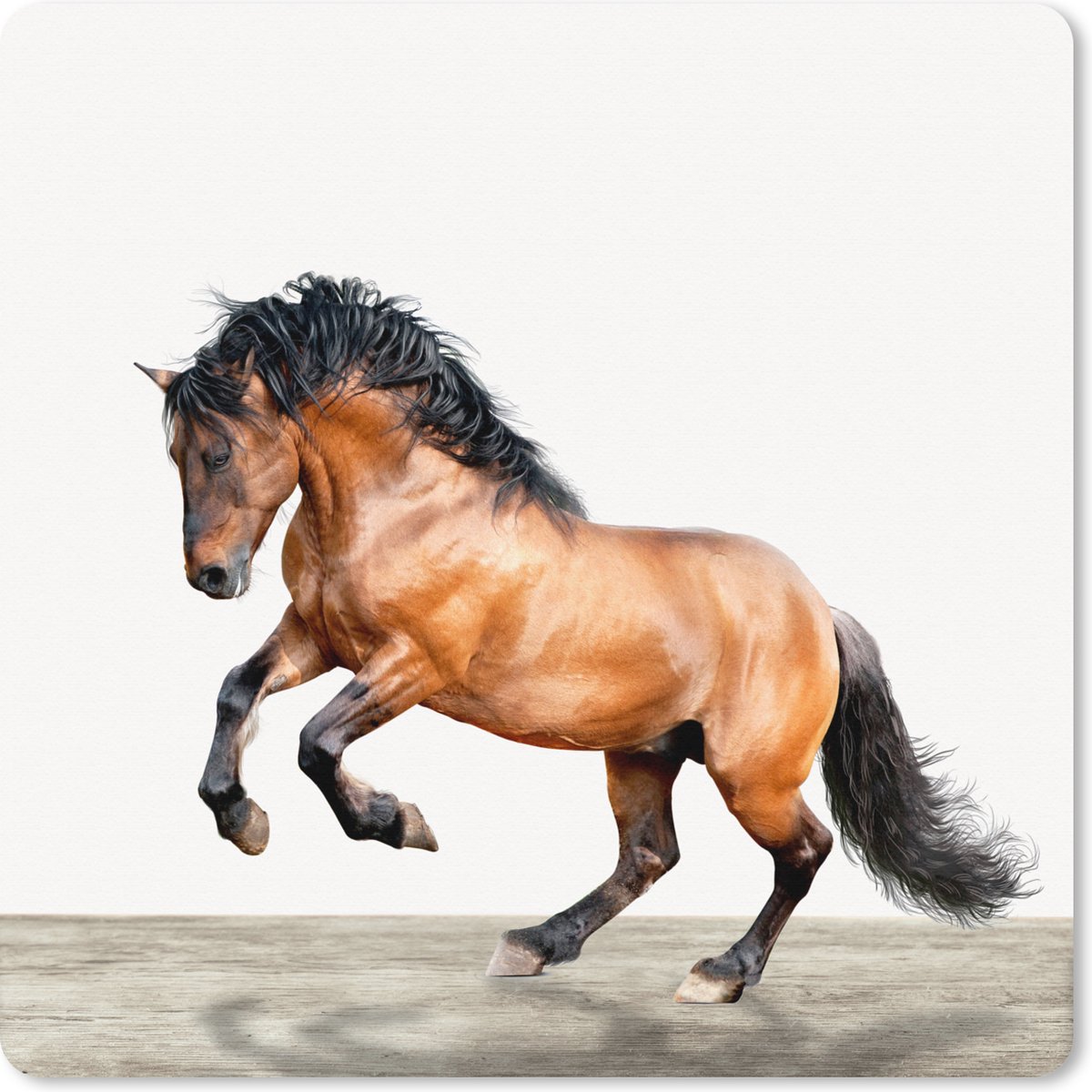 Muismat XXL 40x40 cm - Bureau onderlegger - Bureau mat Paard - Dieren - Wit -Jongens - Meiden - Kinderen - Bureaumat - Gaming mousepad xl - Bureaulegger groot - Computer deskmat