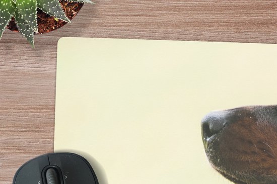 Muismat XXL - Bureau onderlegger - Bureau mat - Zijaanzicht van een Rottweiler met de tong uit de mond - 90x45 cm - XXL muismat