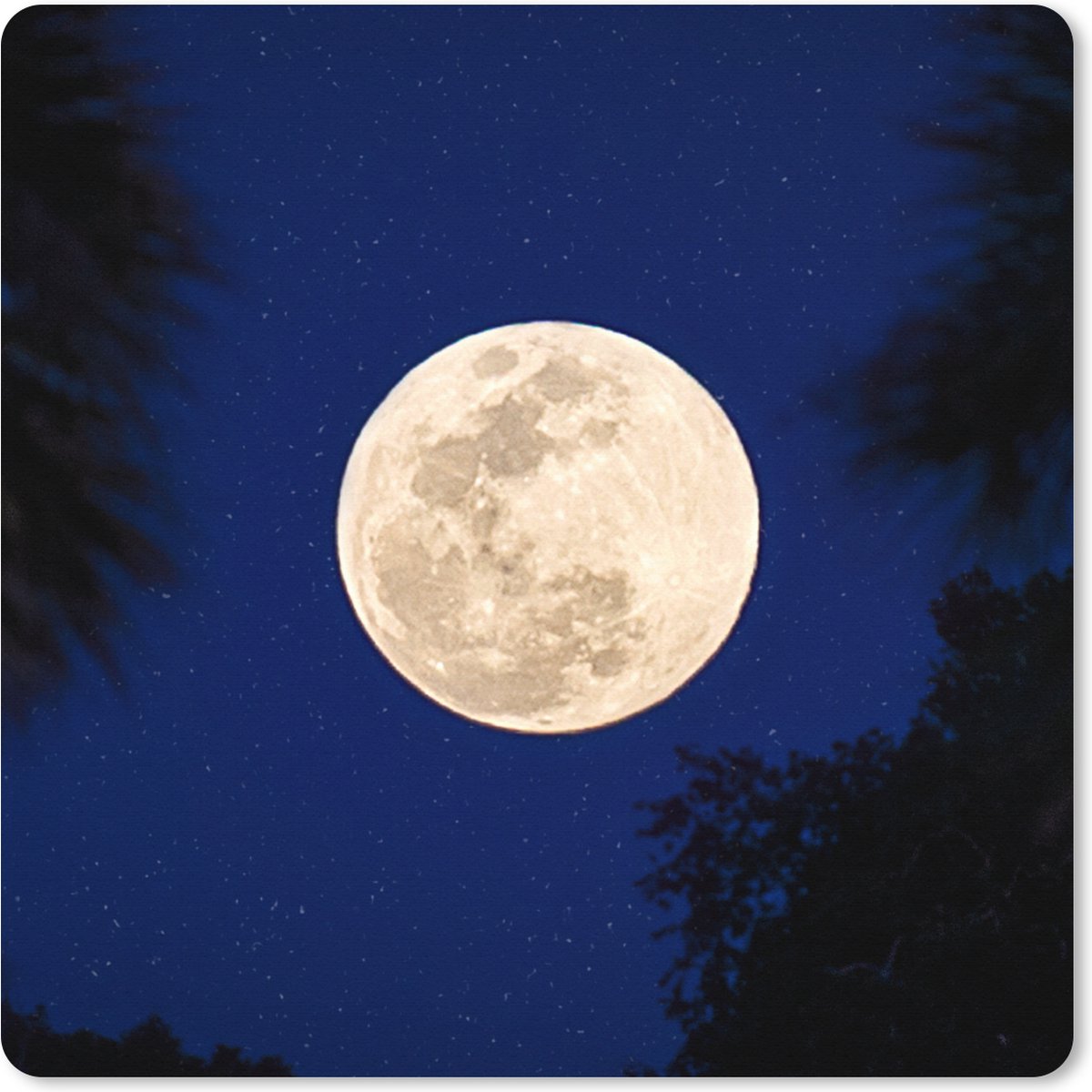 Muismat XXL 40x40 cm - Bureau onderlegger - Bureau mat Maan - Bomen - Nacht - Bureaumat - Gaming mousepad xl - Bureaulegger groot - Computer deskmat