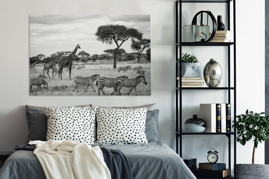 Tableau sur toile Girafes et Zèbres ensemble dans les savanes du Parc National du Serengeti - noir et blanc - 120x80 cm - Décoration murale