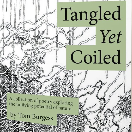 Tangled Yet Coiled - cover