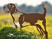 beagle - dierenbeeld - cortenstaal - 49 x 60 - NL fabrikaat