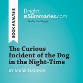 The Curious Incident of the Dog in the Night-Time by Mark Haddon (Book Analysis)