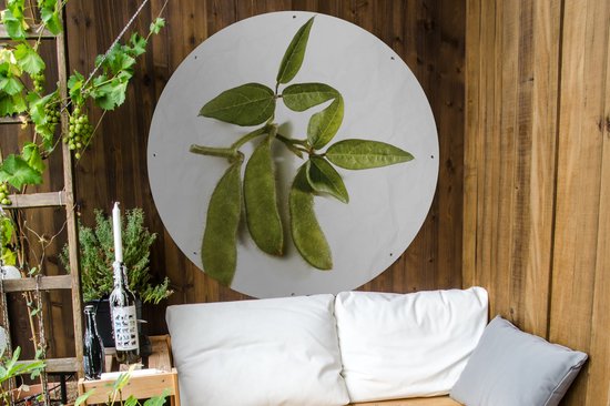 Cercle de jardin Trois graines de soja vertes sur fond blanc - 120x120 cm - Poster de jardin rond - Extérieur XXL / Groot format !