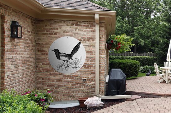 Affiche de jardin Illustration de pie ronde - Illustration ancienne d'une pie Affiche de jardin - Affiche de jardin ronde 90x90 cm - Toile de jardin/Toile d'extérieur/ Peintures pour l'extérieur (décoration de jardin)