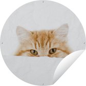Garden Circle Chat - Rouge - Wit - Filles - Enfants - Garçons - Enfant - 120x120 cm - Affiche de Jardin Ronde - Extérieur - XXL