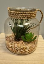Countryfield vetplanten in glazen pot - L