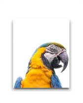 Schilderij  Gele papagaai / Jungle / Safari / 50x40cm