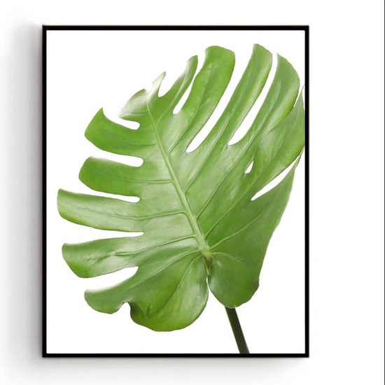 Poster Botanisch tropisch groen blad rechts / Planten / Bladeren / 30x21cm