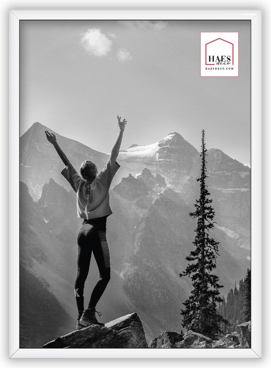 HAES deco Kunststof fotolijst A4 / 21x29,7 wit Easy Frame - EF11W
