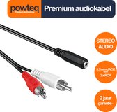 Powteq - Câble audio premium 20 cm - 2x RCA vers jack 3,5 mm (prise casque) - Stéréo