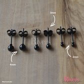 Roestvrijstalen oorbellen studs 2, 3 en 4mm oorbel knopjes -zwartkleurig - rvs - Rivers-sieraden
