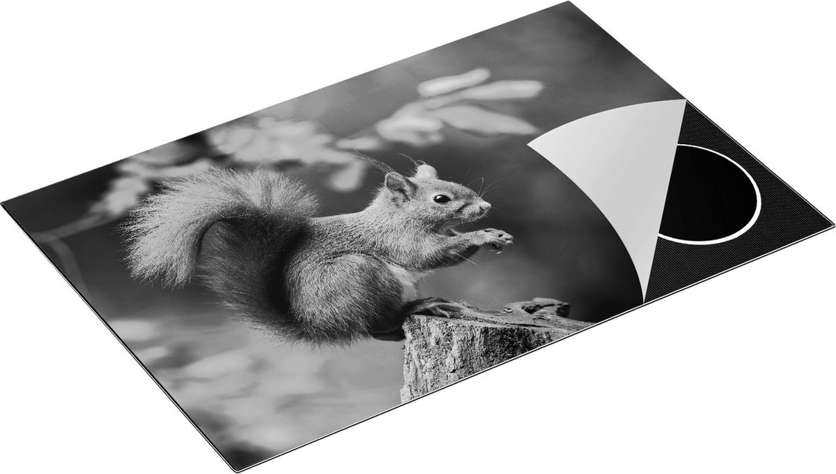 Chefcare Inductie Beschermer Eekhoorn op een Boomstam in het Bos - Zwart Wit - 80x52 cm - Afdekplaat Inductie - Kookplaat Beschermer - Inductie Mat