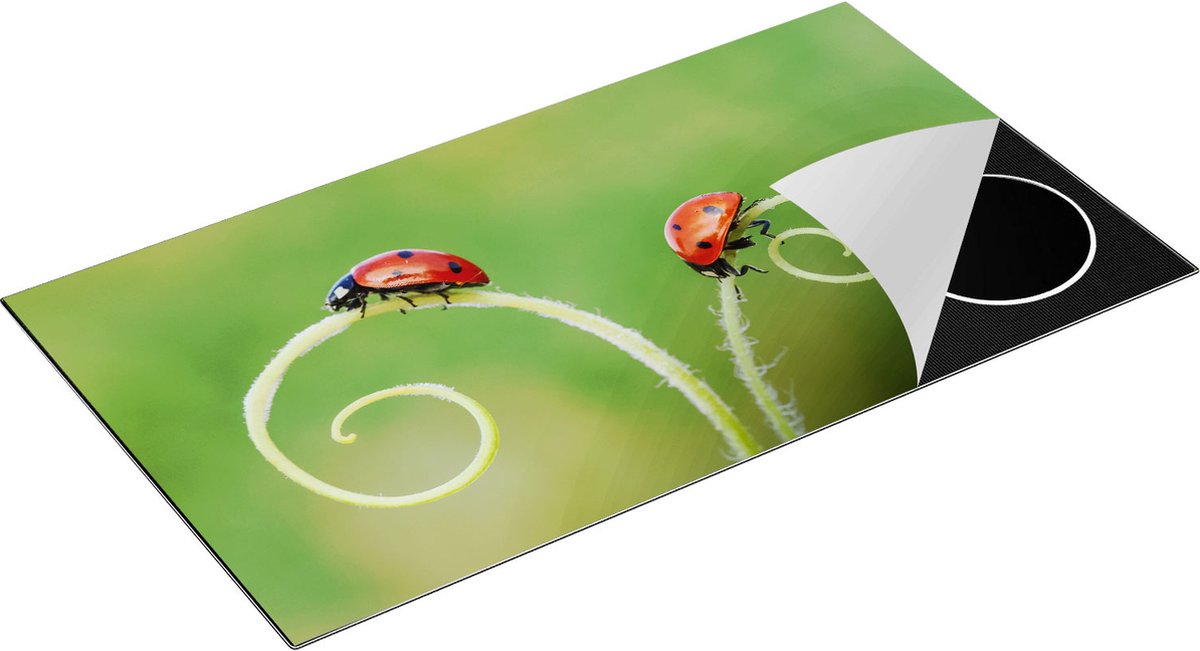 Chefcare Inductie Beschermer Twee Lieveheersbeestjes in het Gras - 95x50 cm - Afdekplaat Inductie - Kookplaat Beschermer - Inductie Mat