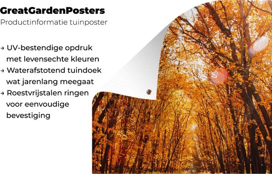 Affiche de jardin - Automne - Forêt - Feuilles - Oranje - 40x60 cm - Décoration de jardin - Toile jardin