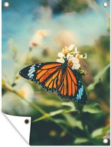 Tuinposter - Vlinder - Bloemen - Wit - Zon - Lente - Tuindoeken voor buiten - 30x40 cm - Tuindoek